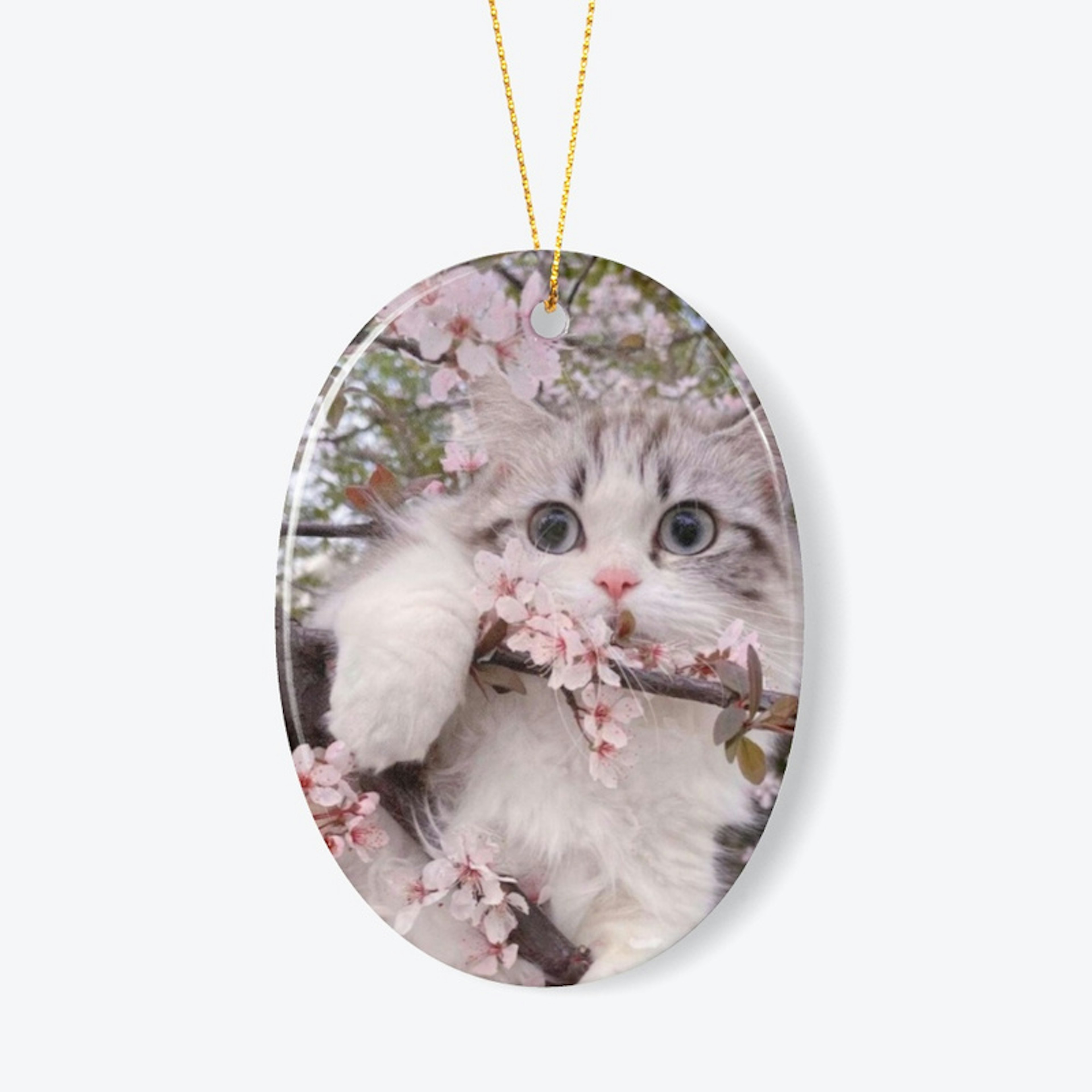 Customized for cat lovers 